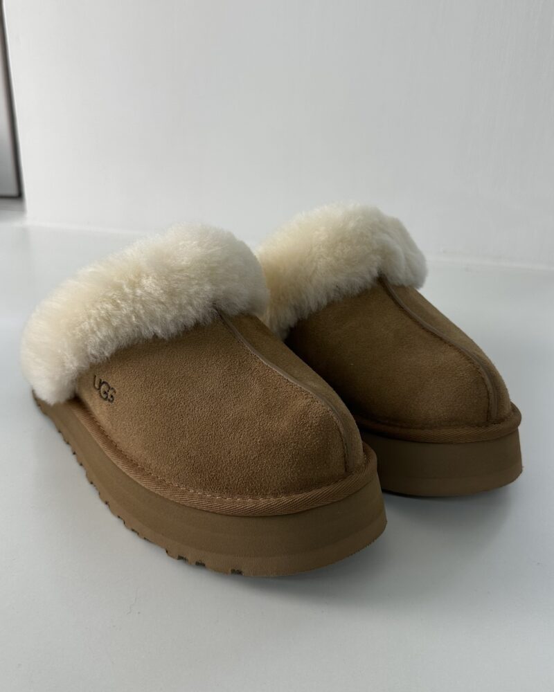 Ugg disquette San